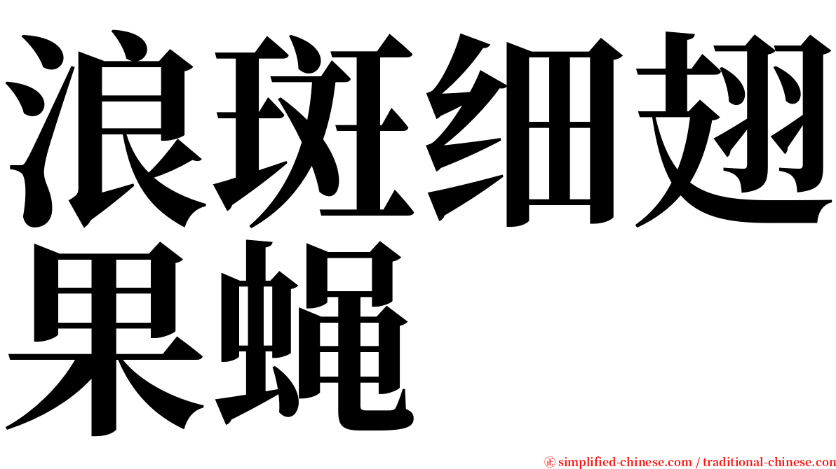 浪斑细翅果蝇 serif font