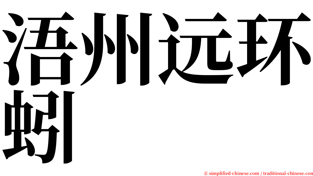浯州远环蚓 serif font