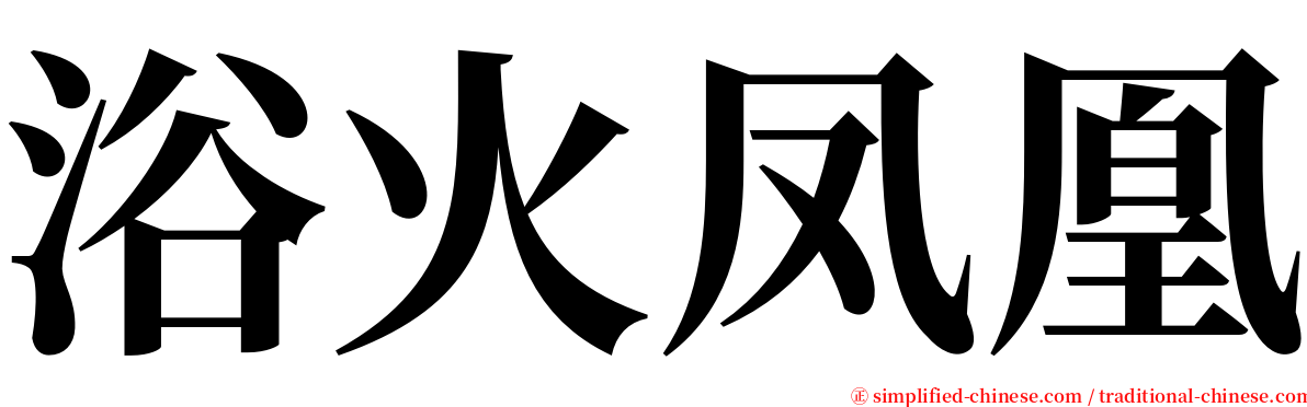 浴火凤凰 serif font