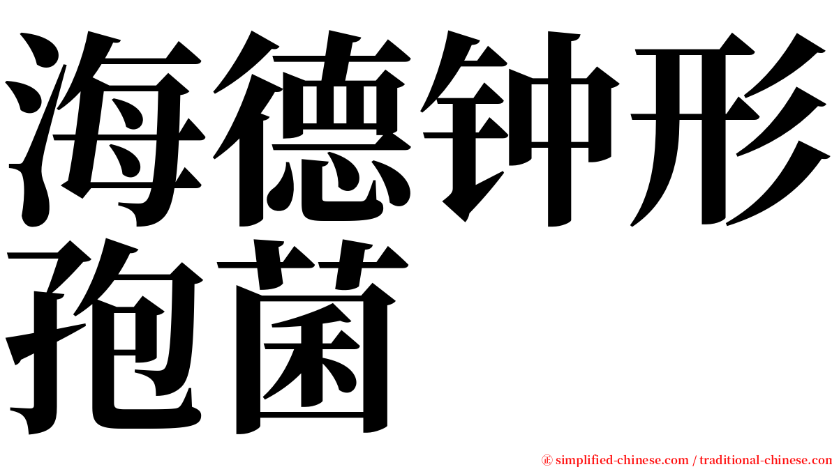 海德钟形孢菌 serif font