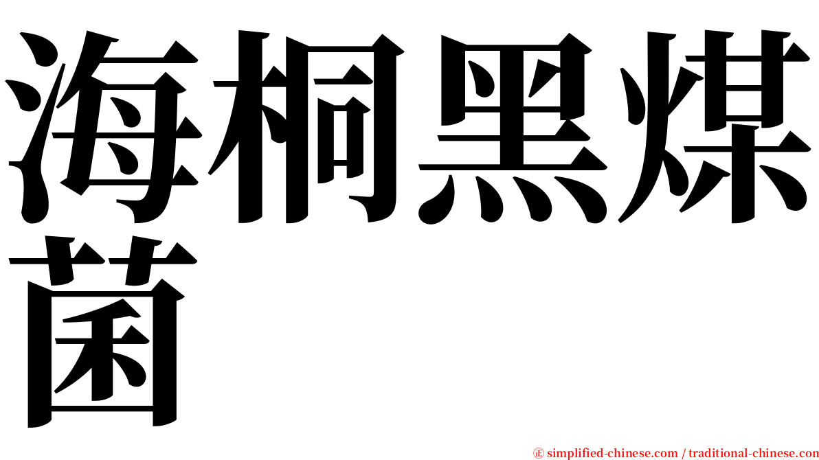 海桐黑煤菌 serif font