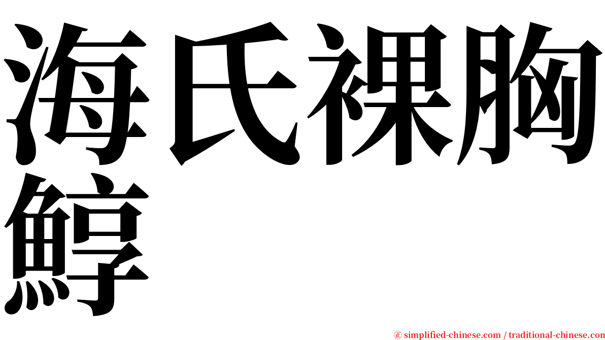 海氏裸胸鯙 serif font