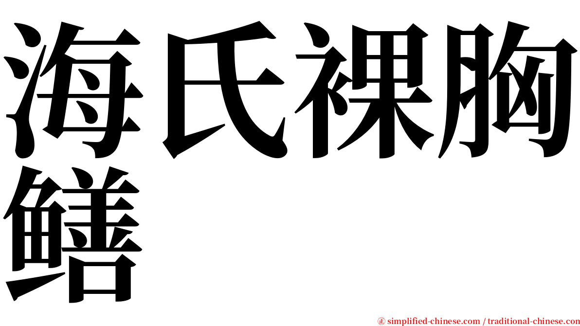 海氏裸胸鳝 serif font