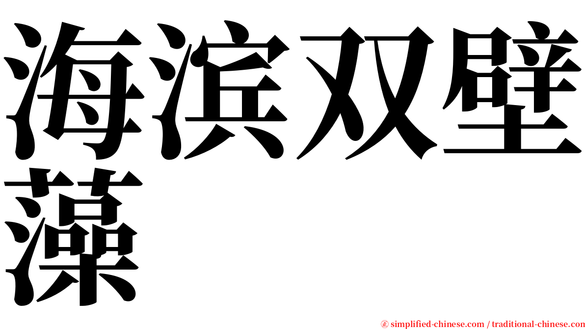 海滨双壁藻 serif font