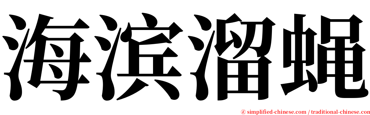 海滨溜蝇 serif font