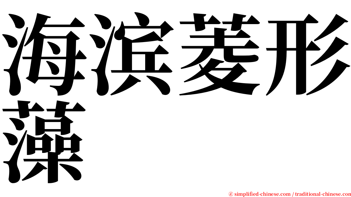 海滨菱形藻 serif font