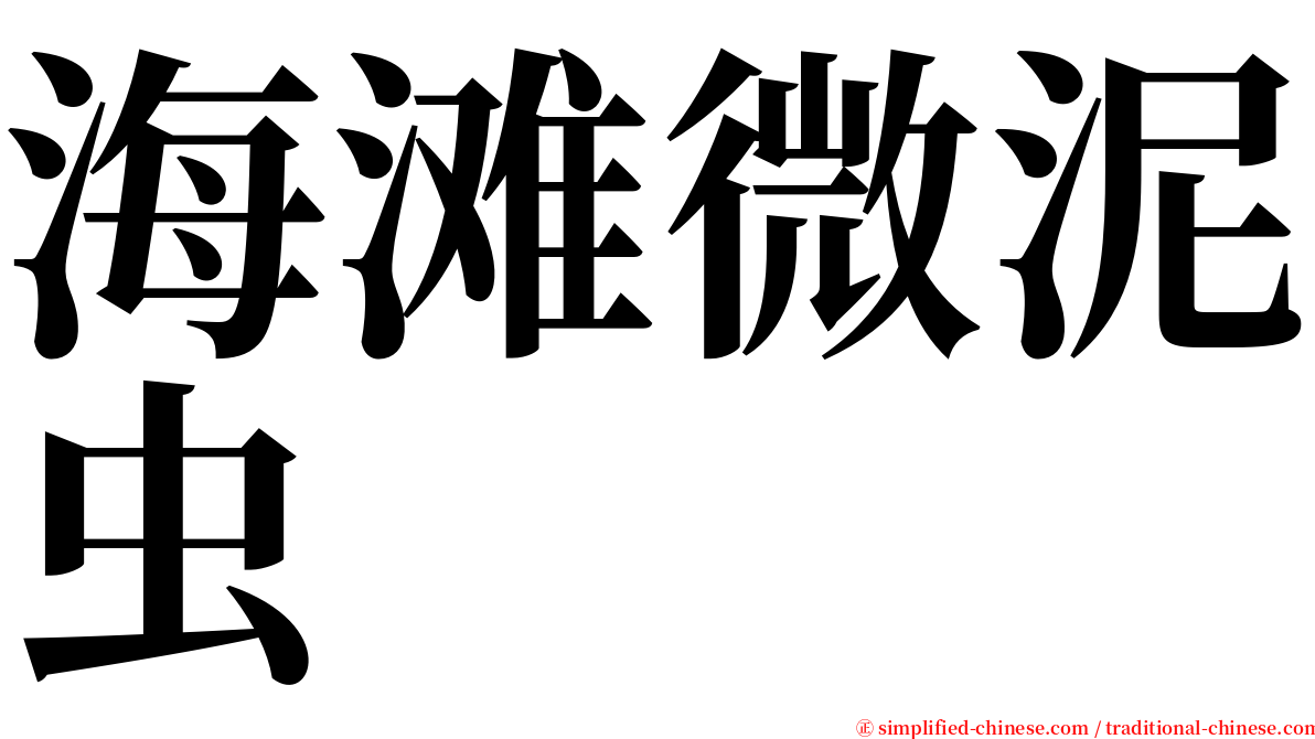 海滩微泥虫 serif font