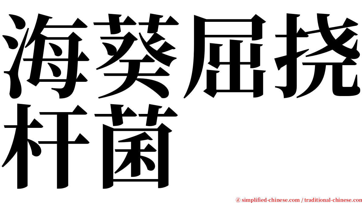 海葵屈挠杆菌 serif font