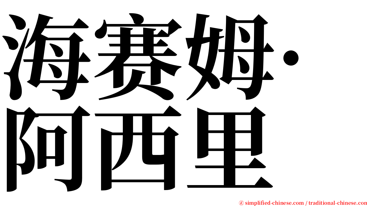 海赛姆·阿西里 serif font