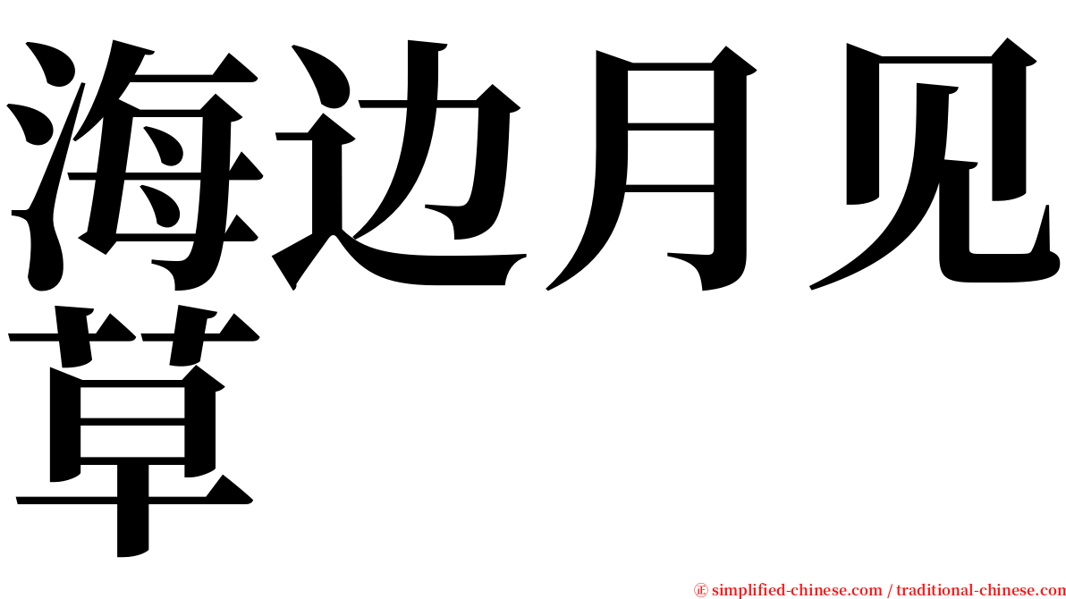 海边月见草 serif font