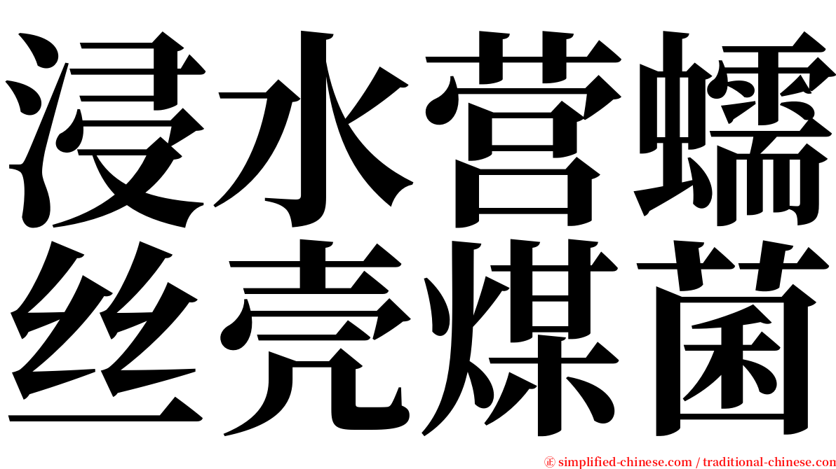 浸水营蠕丝壳煤菌 serif font