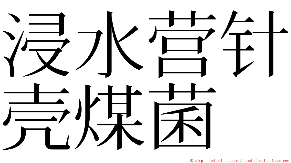 浸水营针壳煤菌 ming font