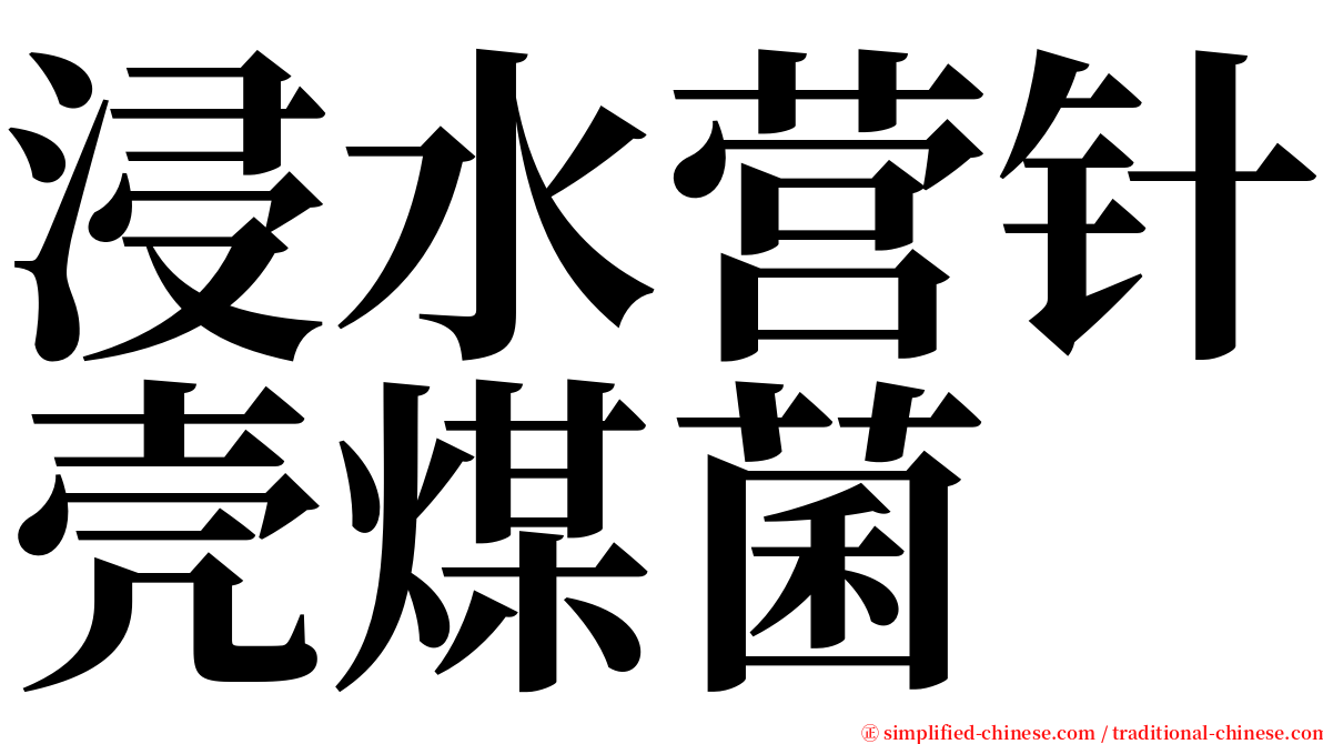 浸水营针壳煤菌 serif font