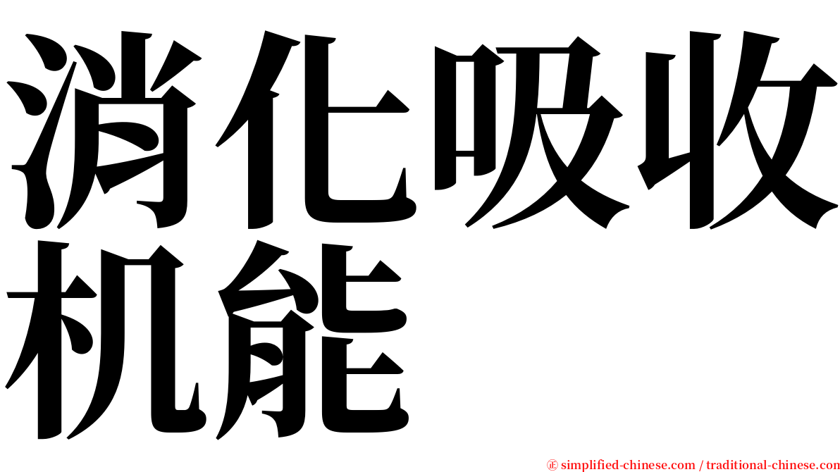 消化吸收机能 serif font