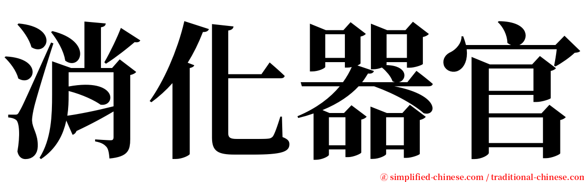 消化器官 serif font