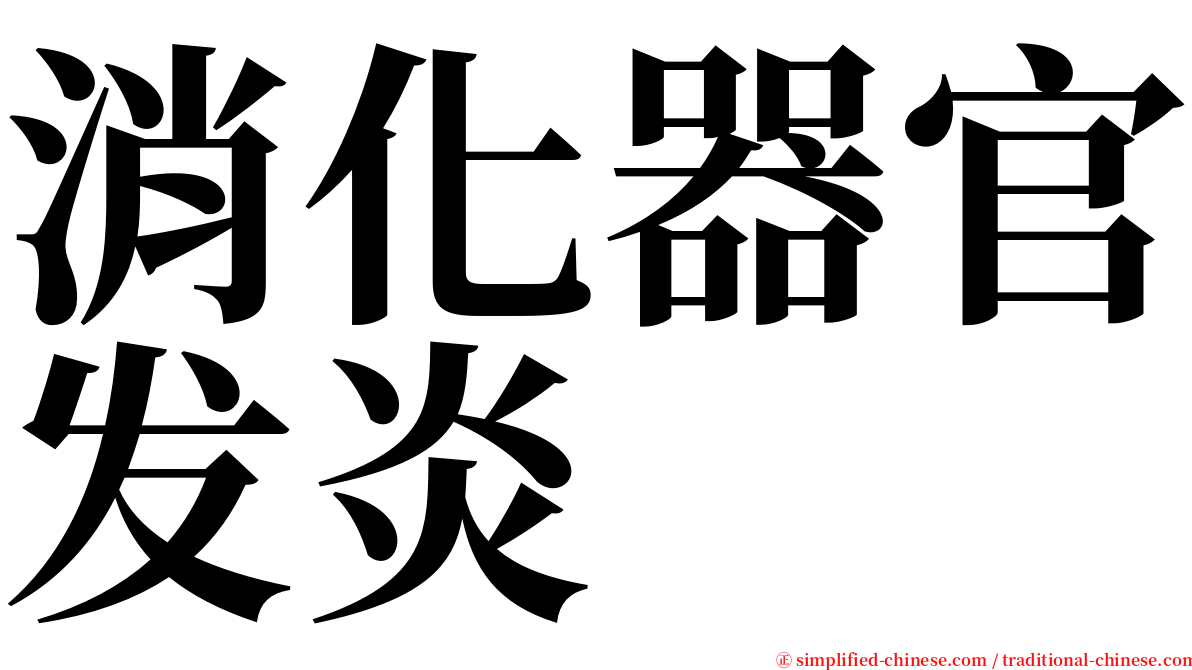 消化器官发炎 serif font