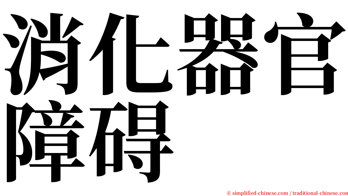 消化器官障碍 serif font