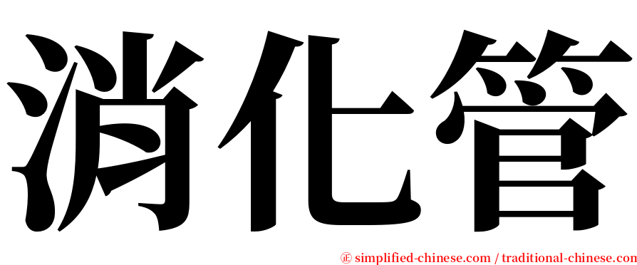 消化管 serif font