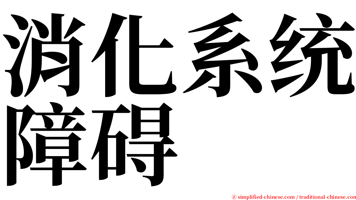 消化系统障碍 serif font