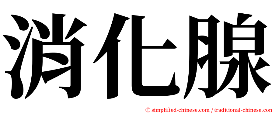 消化腺 serif font