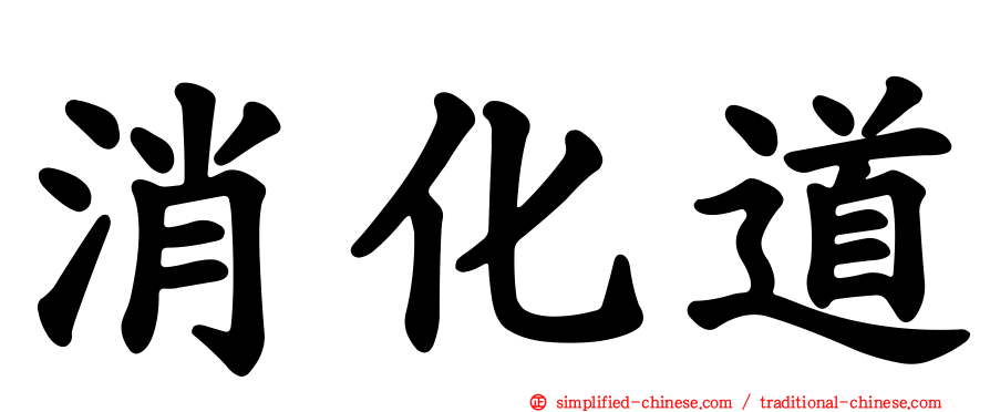 消化道