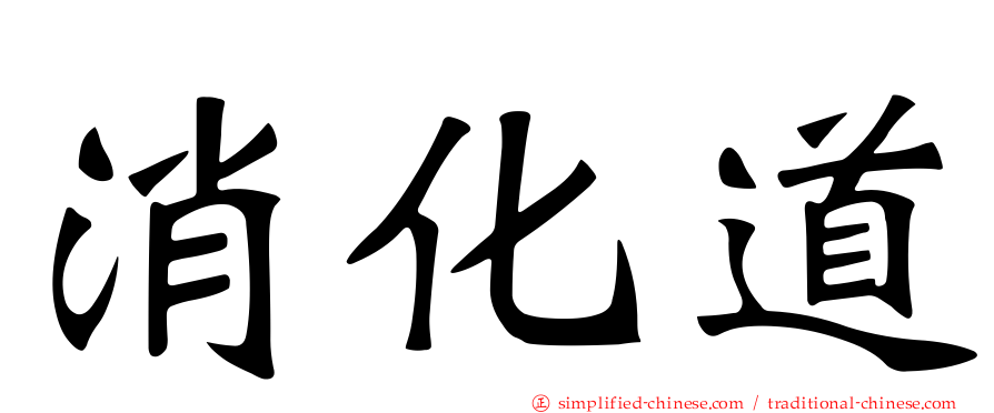 消化道