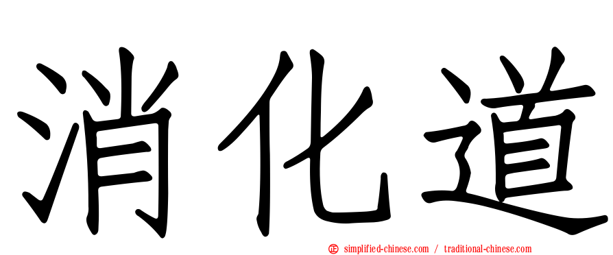 消化道