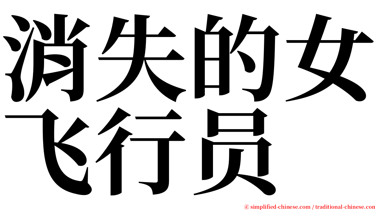 消失的女飞行员 serif font