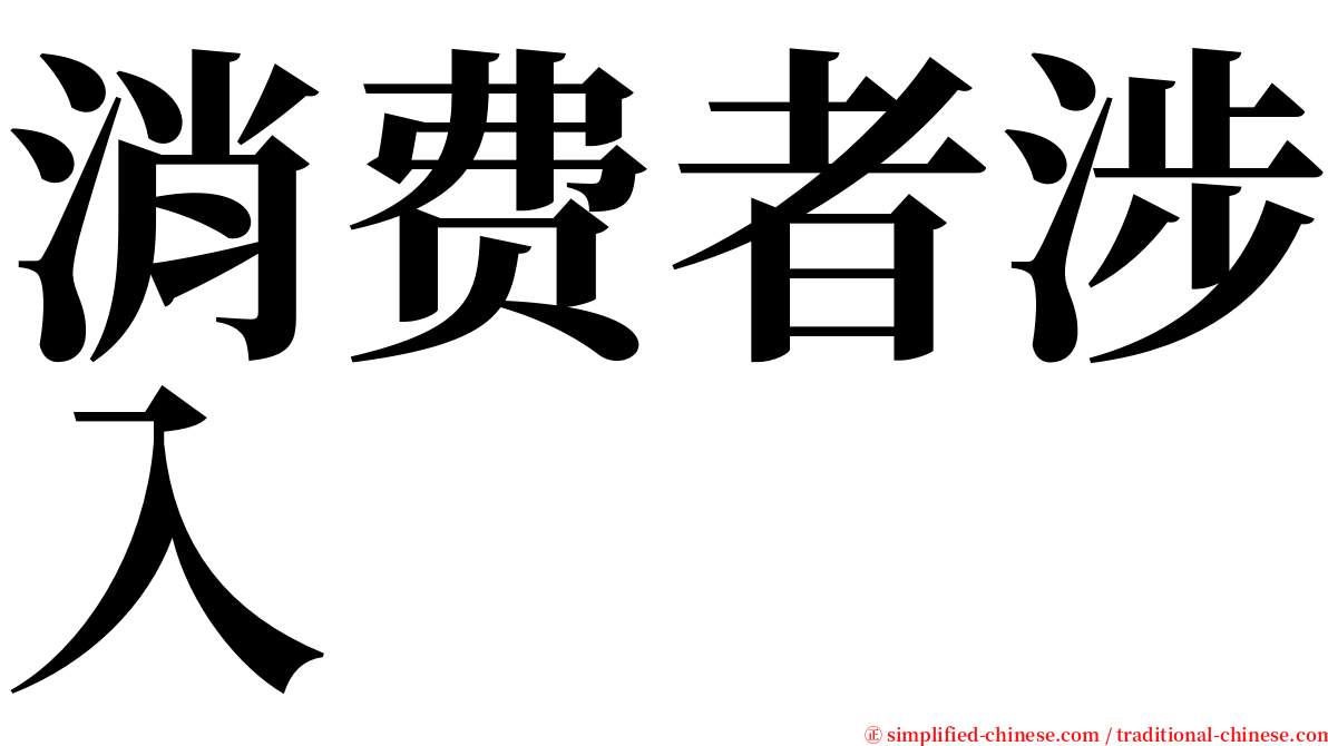 消费者涉入 serif font