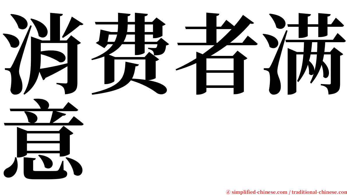 消费者满意 serif font