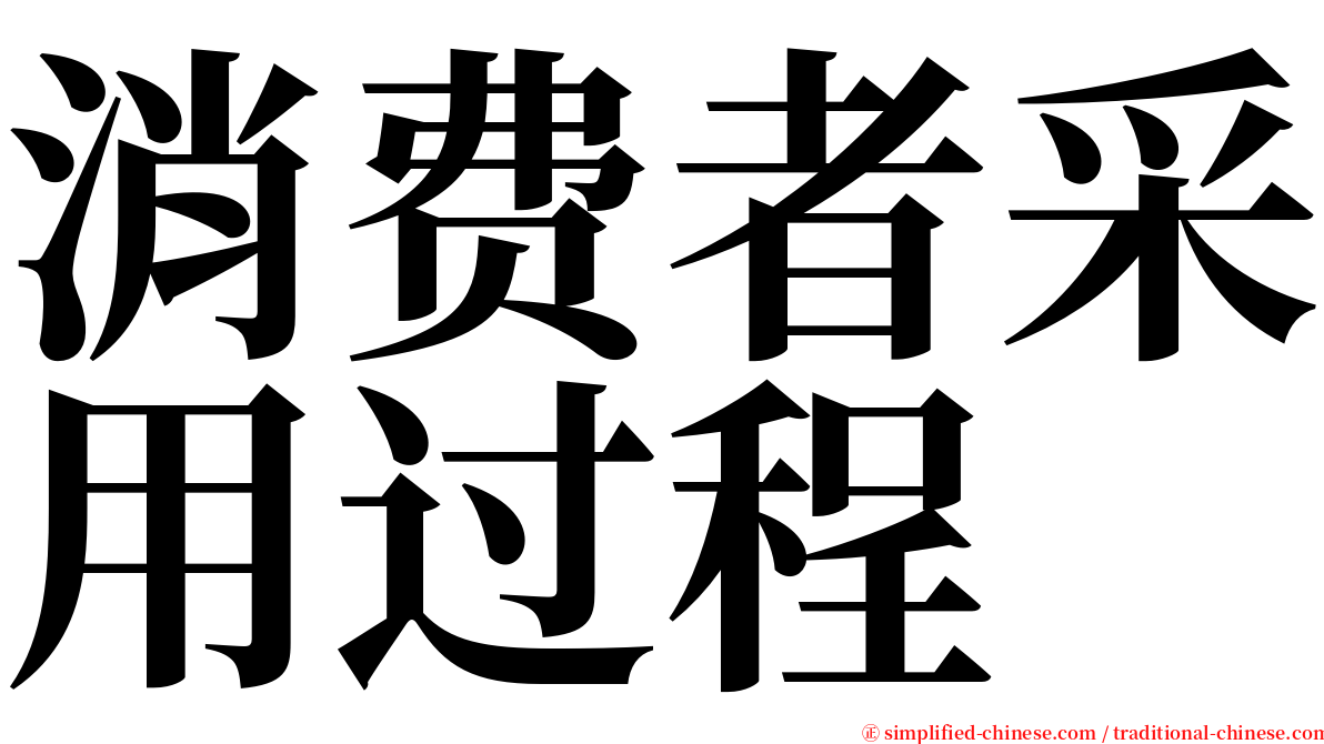 消费者采用过程 serif font