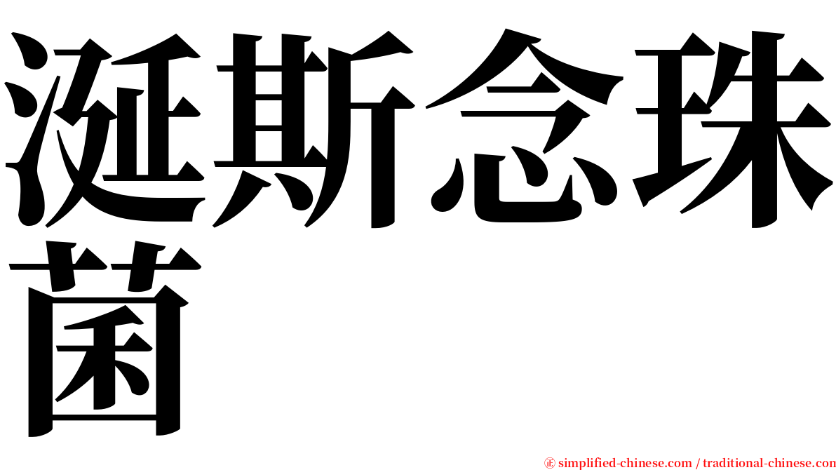 涎斯念珠菌 serif font