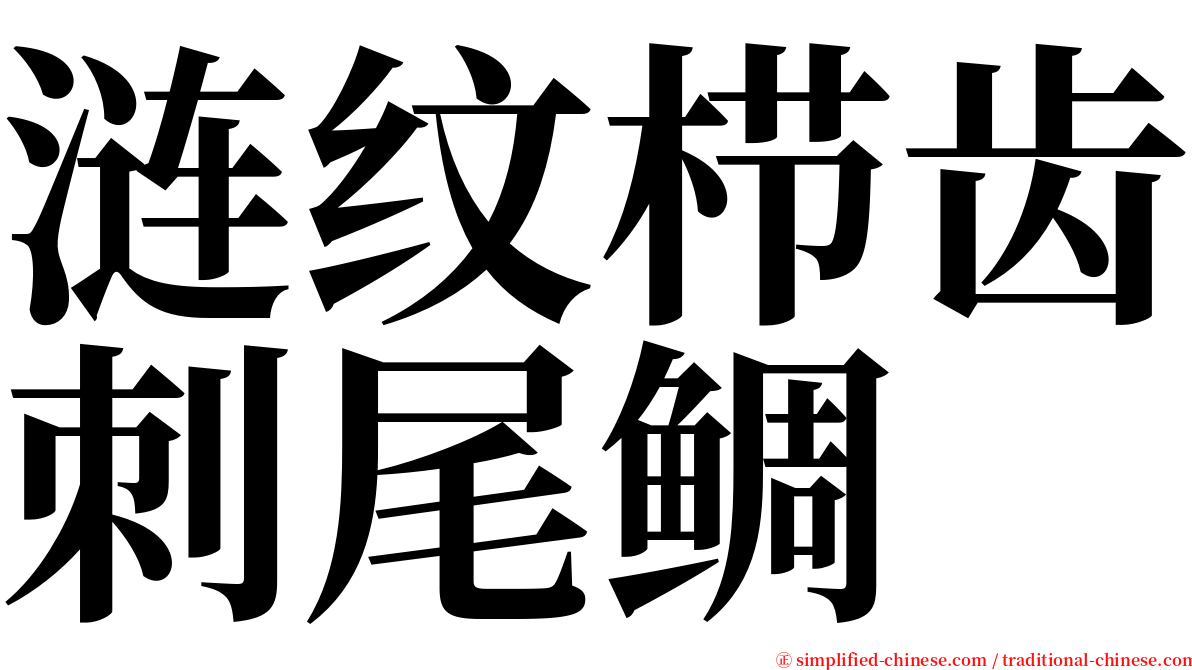 涟纹栉齿刺尾鲷 serif font