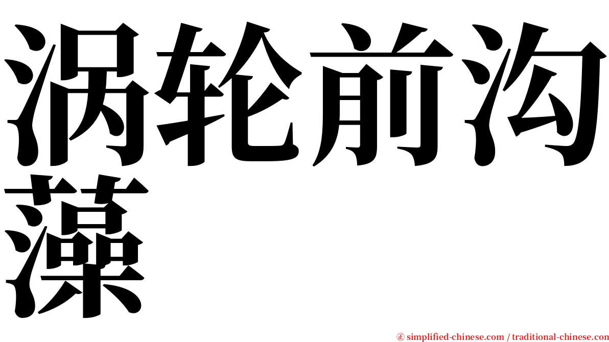 涡轮前沟藻 serif font