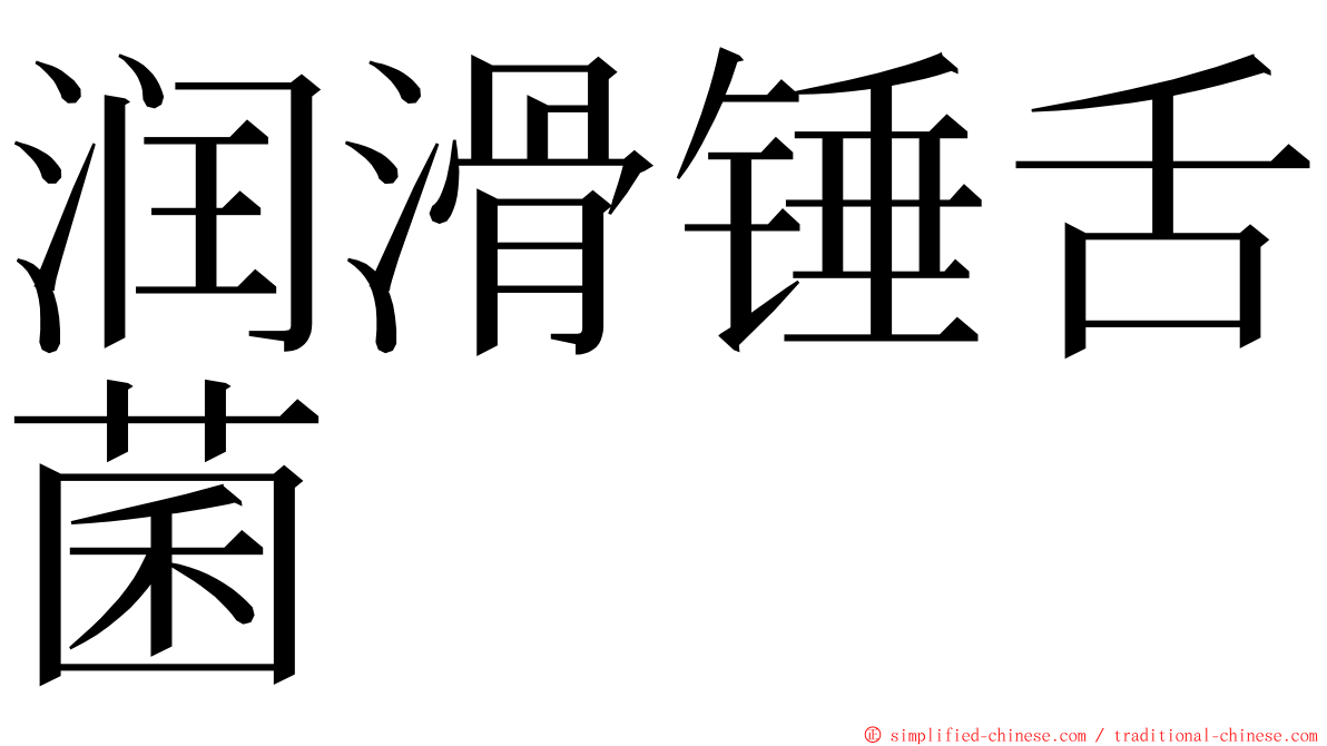 润滑锤舌菌 ming font