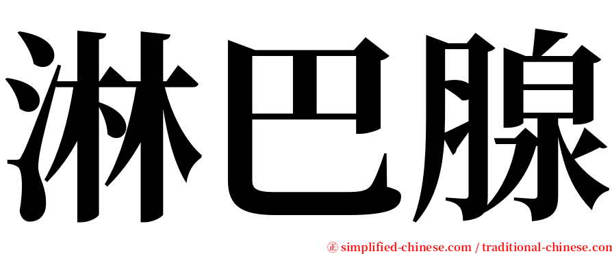 淋巴腺 serif font