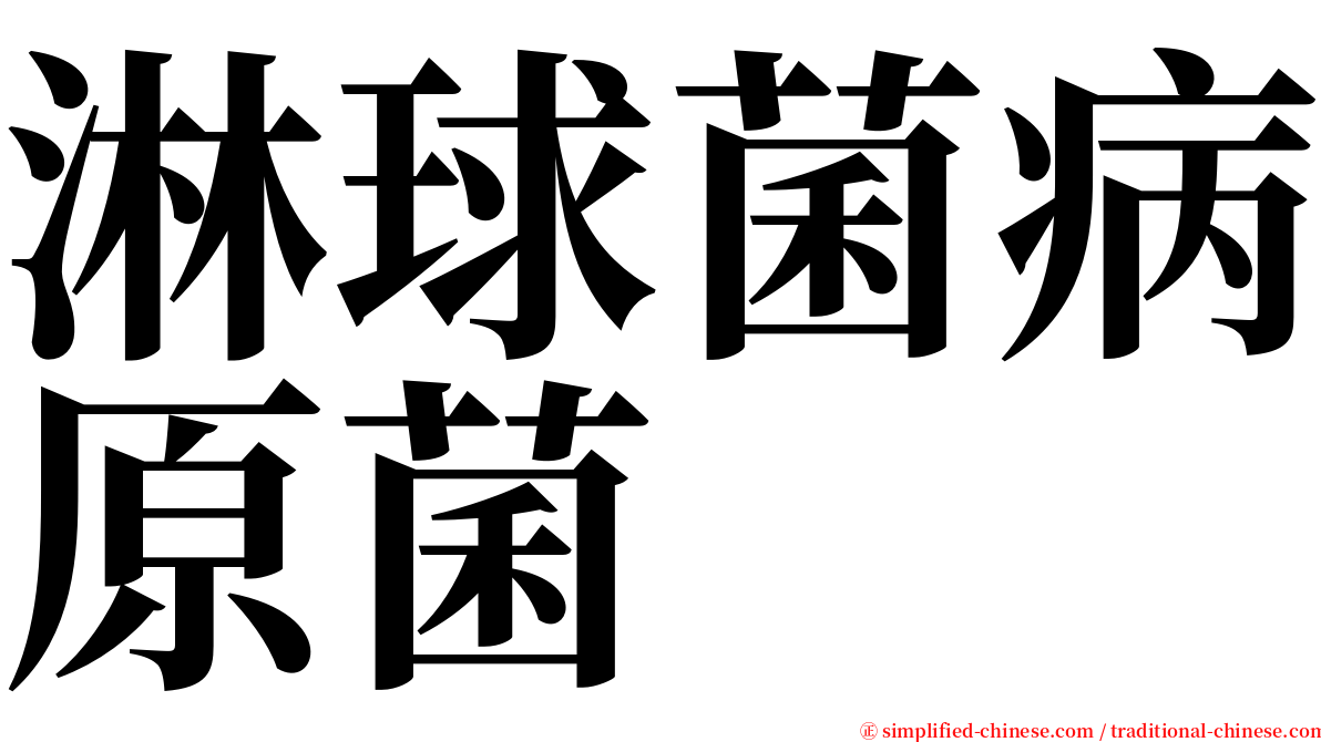 淋球菌病原菌 serif font