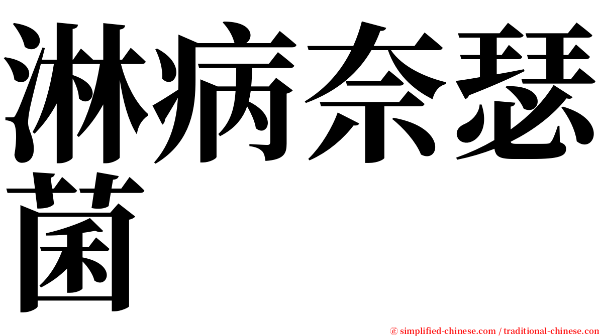 淋病奈瑟菌 serif font