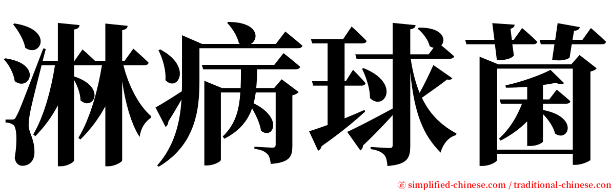 淋病球菌 serif font