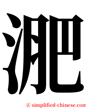 淝 serif font