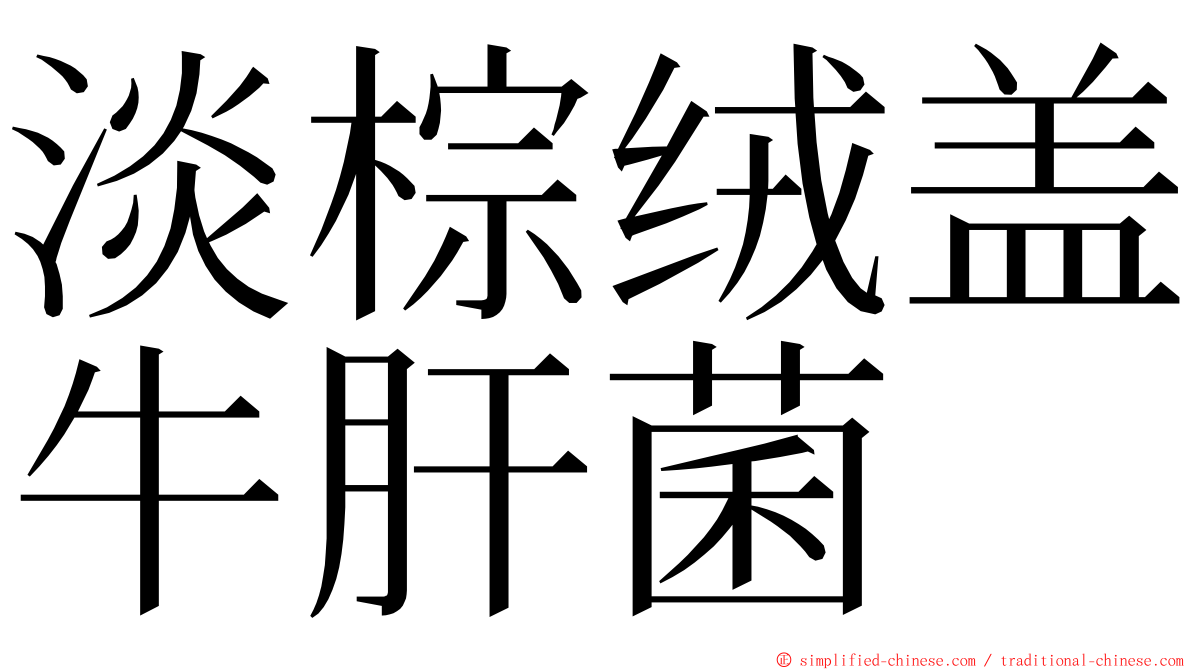 淡棕绒盖牛肝菌 ming font