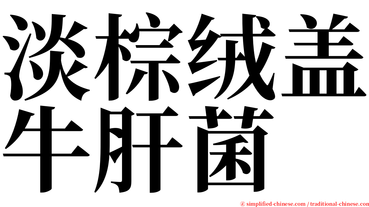 淡棕绒盖牛肝菌 serif font