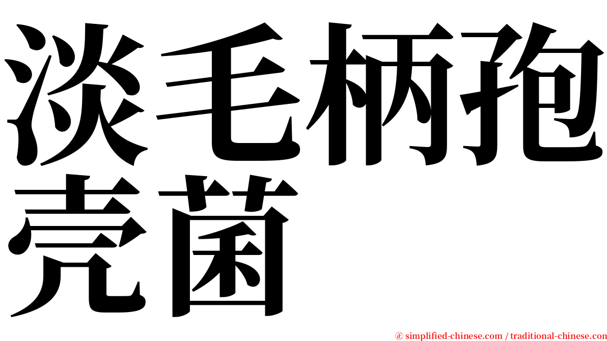 淡毛柄孢壳菌 serif font