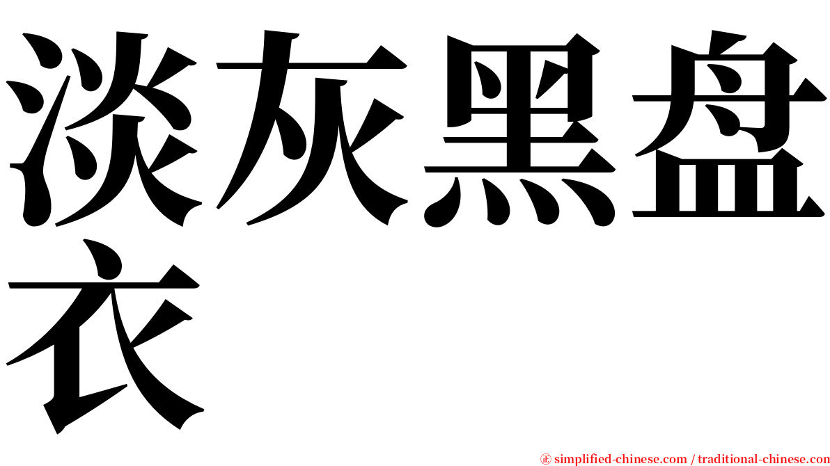 淡灰黑盘衣 serif font