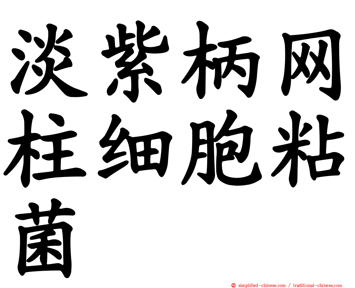 淡紫柄网柱细胞粘菌