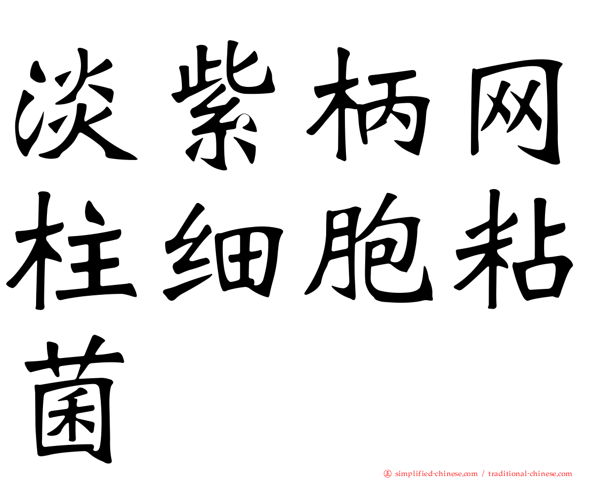 淡紫柄网柱细胞粘菌