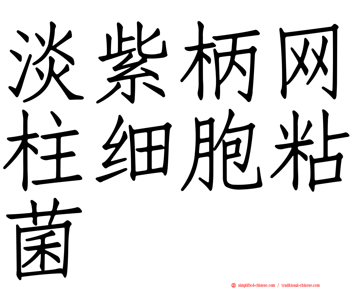淡紫柄网柱细胞粘菌