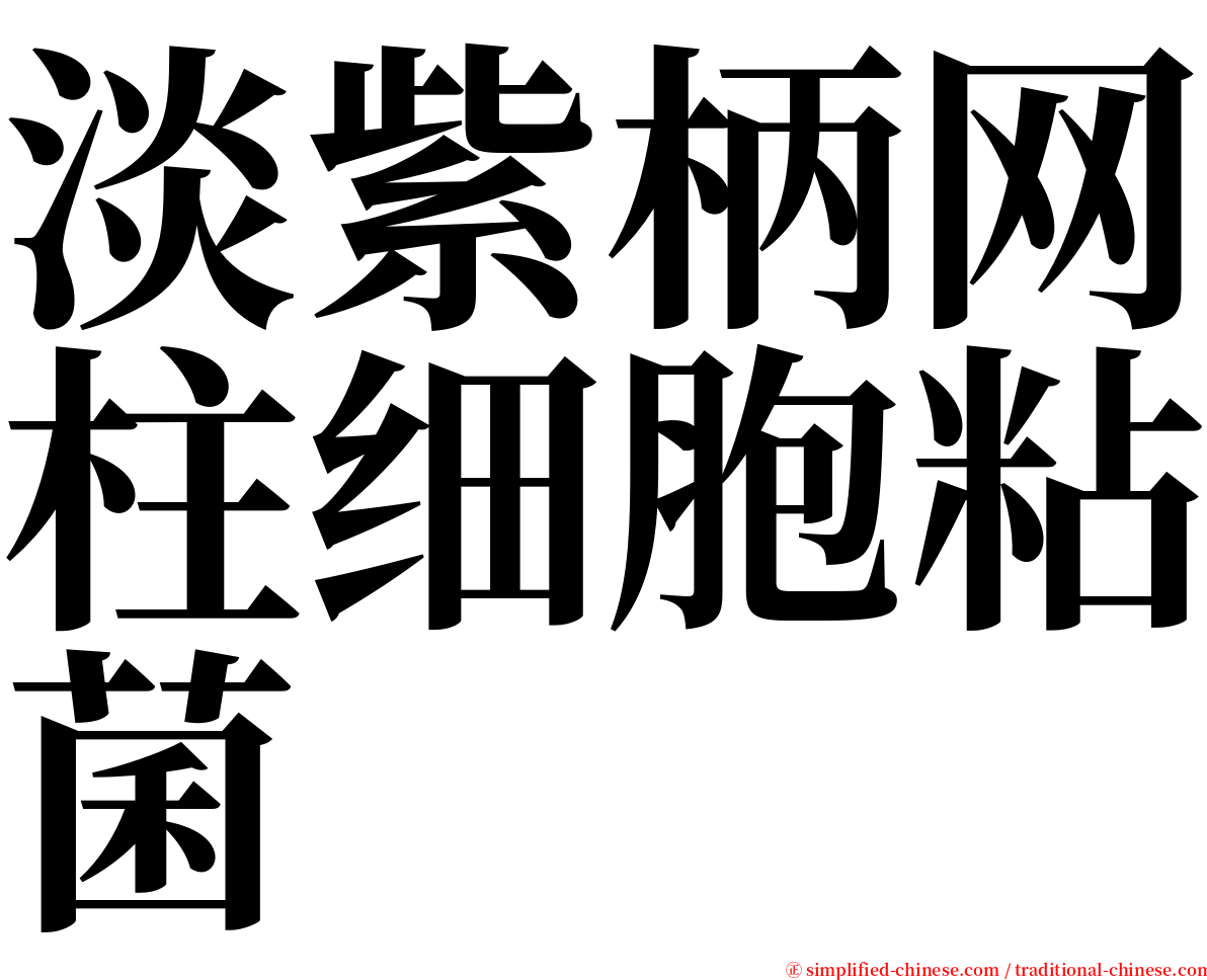 淡紫柄网柱细胞粘菌 serif font