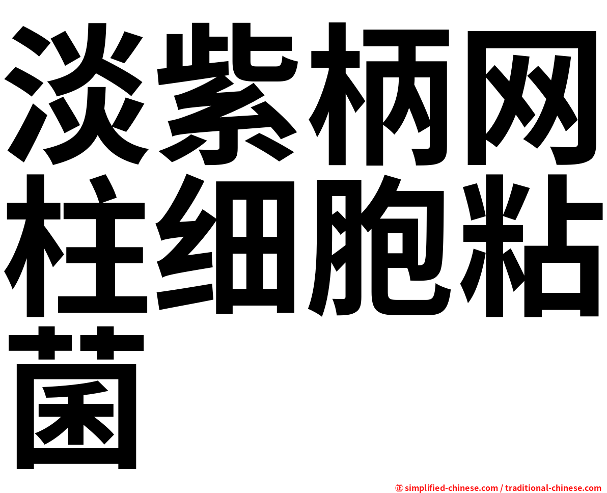 淡紫柄网柱细胞粘菌