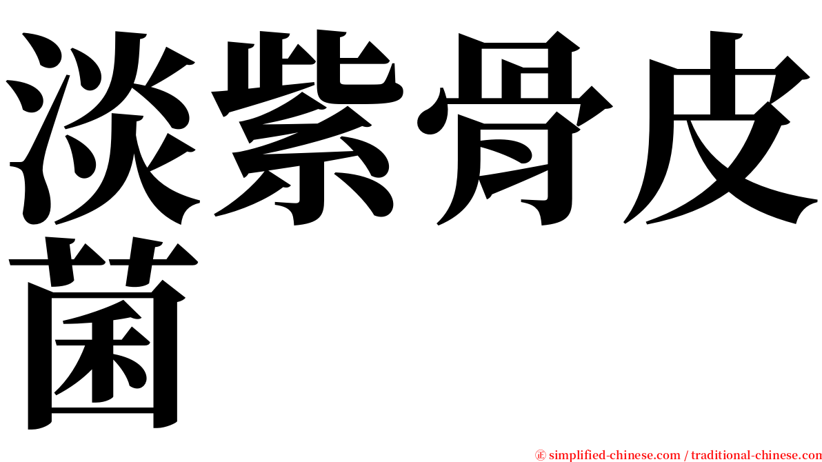 淡紫骨皮菌 serif font